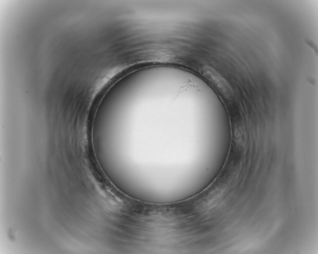 X0000093390532200710251243