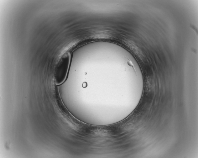 X0000093390535200710251243