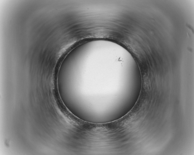 X0000093390536200710251243