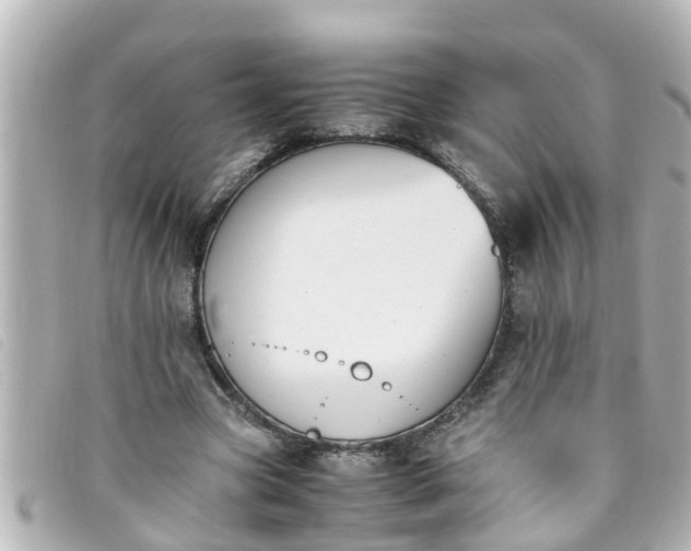 X0000093390537200710251243