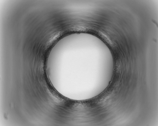 X0000093390538200710251243