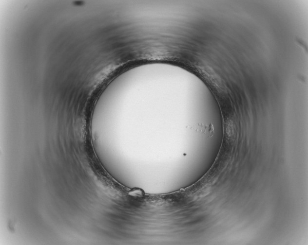 X0000093390540200710251243