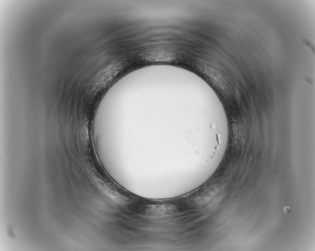 X0000093390541200710251243