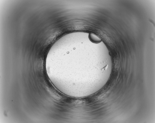 X0000093390542200710251243