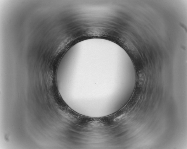 X0000093390544200710251243