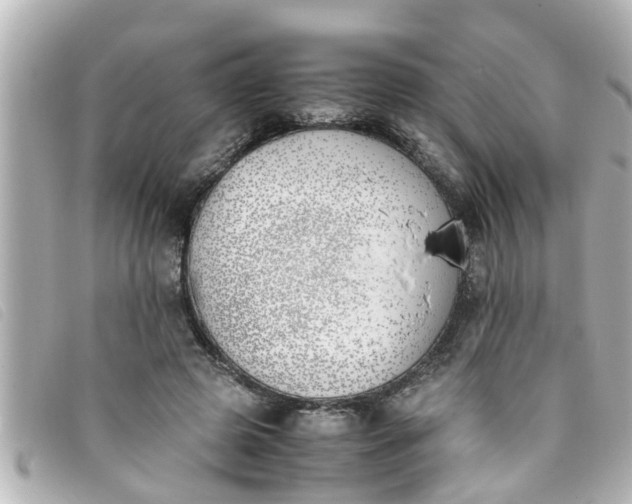 X0000093390545200710251243