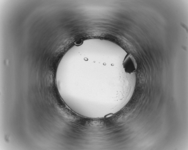 X0000093390546200710251243