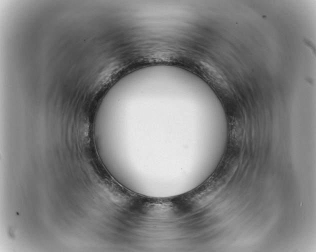 X0000093390548200710251243