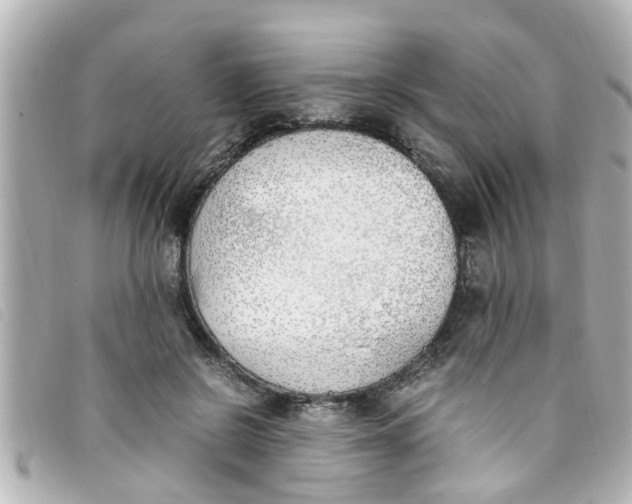 X0000093390550200710251243