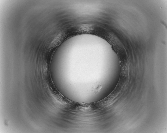 X0000093390552200710251243