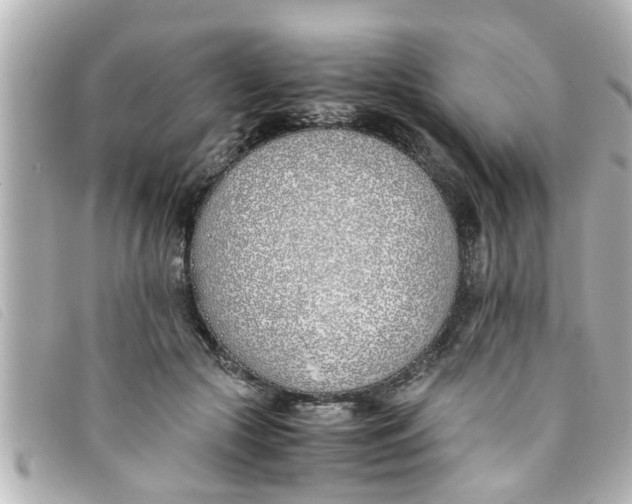 X0000093390553200710251243