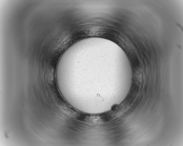 X0000093390554200710251243