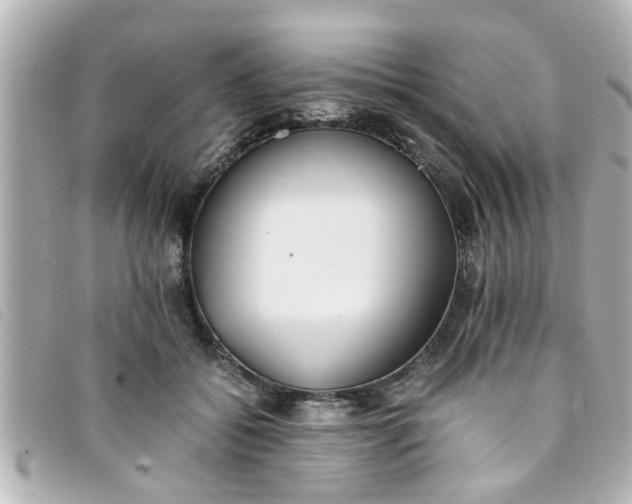 X0000093390556200710251243