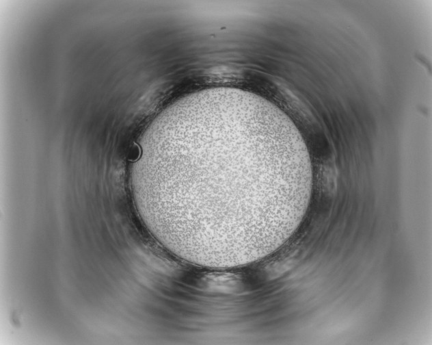 X0000093390557200710251243