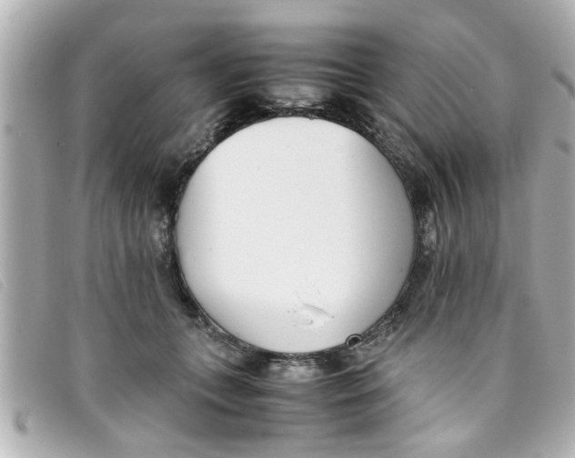 X0000093390559200710251243