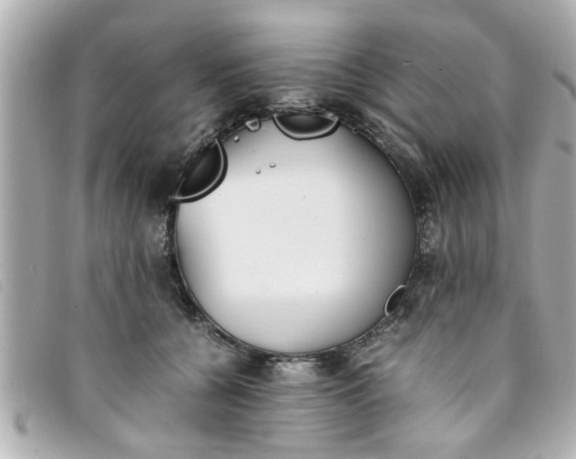 X0000093390560200710251243