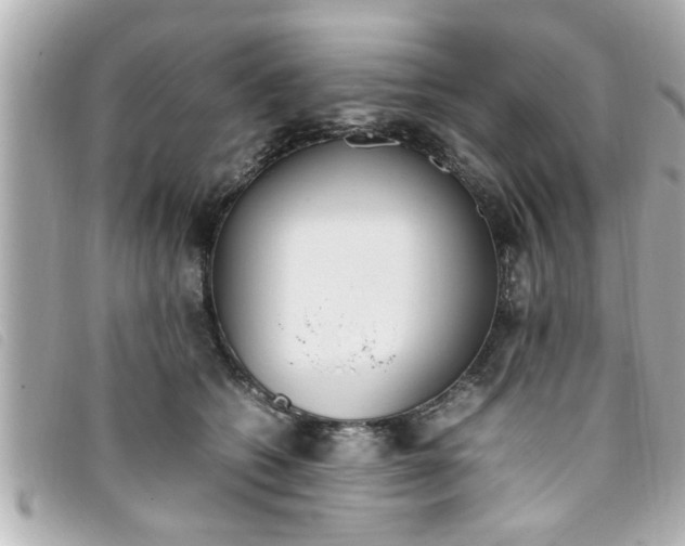 X0000093390562200710251243