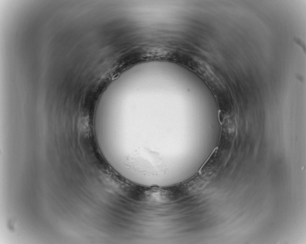 X0000093390564200710251243