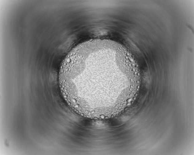 X0000093390565200710251243