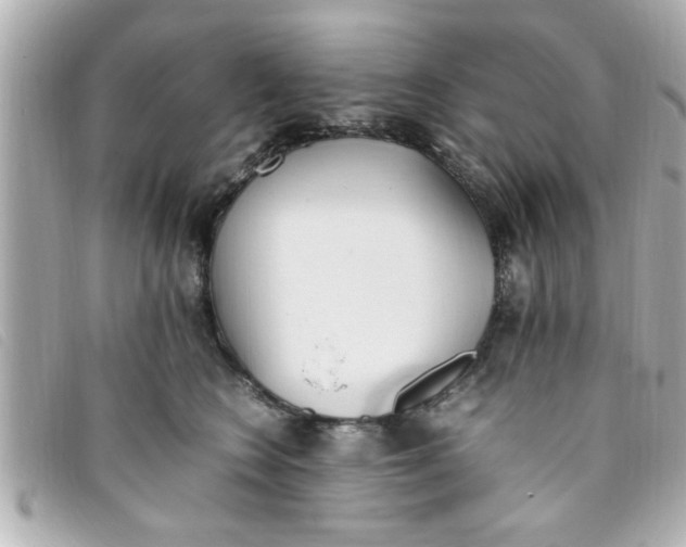 X0000093390566200710251243