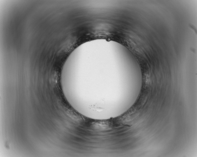 X0000093390567200710251243