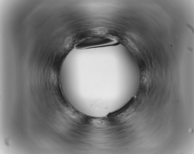 X0000093390568200710251243