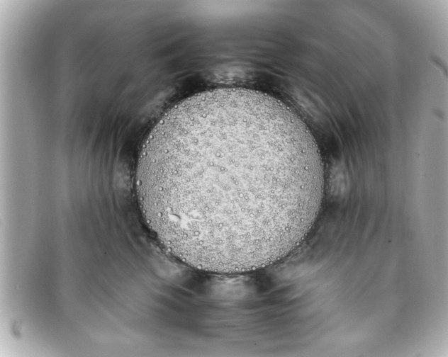 X0000093390569200710251244