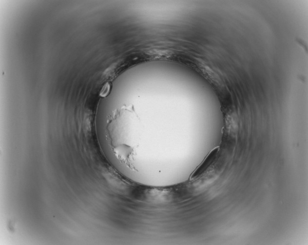 X0000093390570200710251244