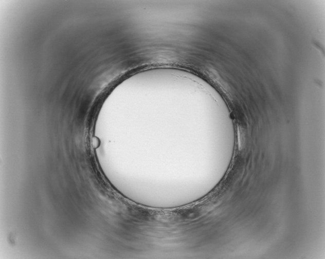 X0000093390579200710251243