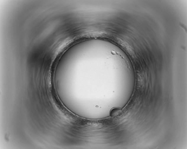 X0000093390582200710251243