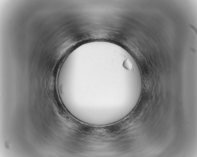 X0000093390583200710251243