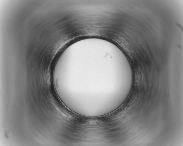 X0000093390584200710251243