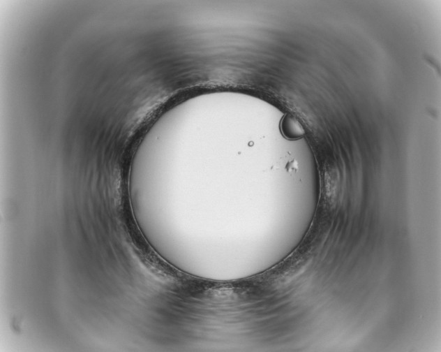 X0000093390588200710251243