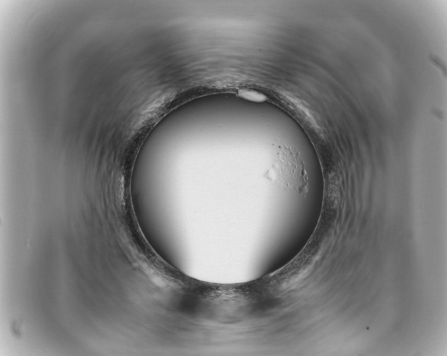 X0000093390589200710251243