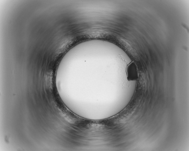 X0000093390590200710251243