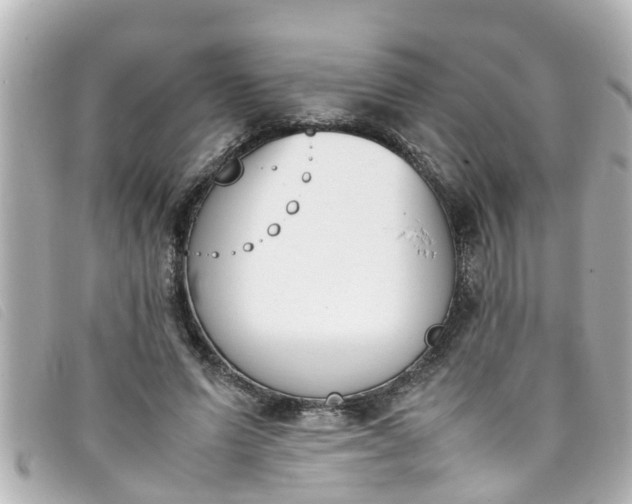 X0000093390591200710251243