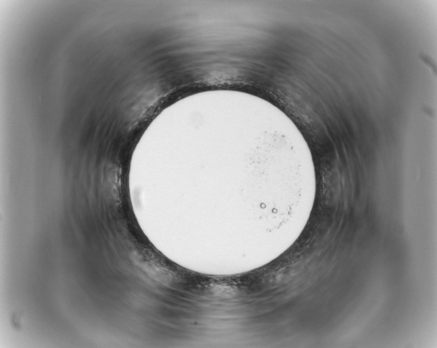 X0000093390592200710251243