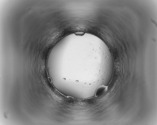 X0000093390593200710251243