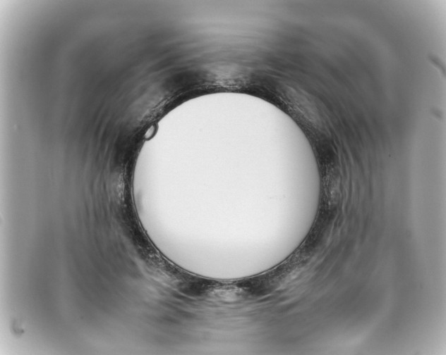 X0000093390595200710251243