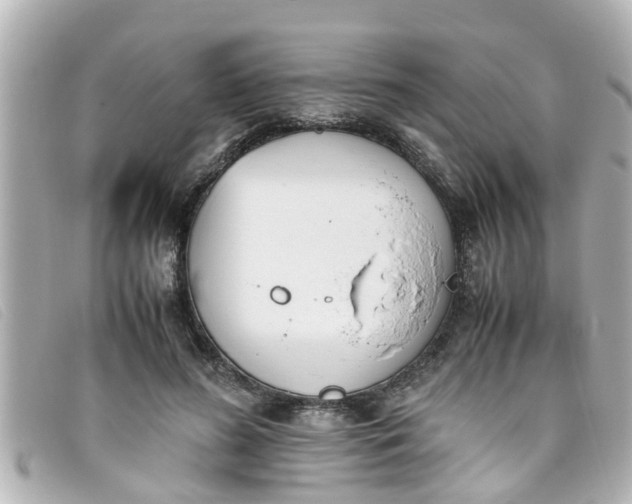 X0000093390596200710251243