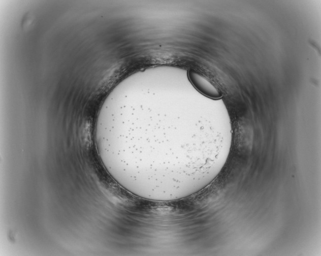 X0000093390598200710251243