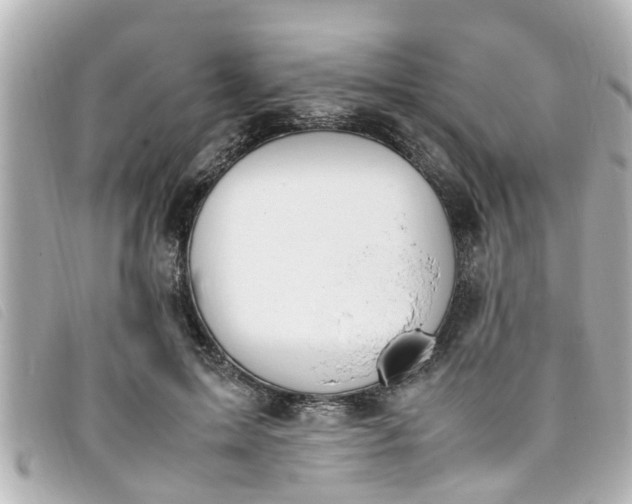 X0000093390599200710251243