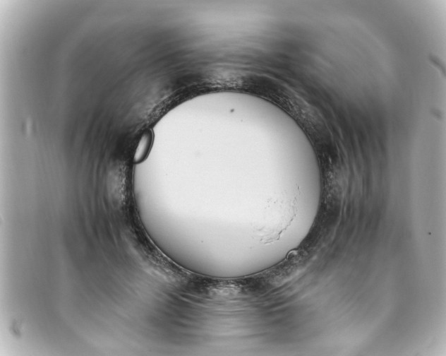 X0000093390600200710251243