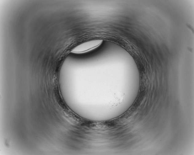 X0000093390601200710251243