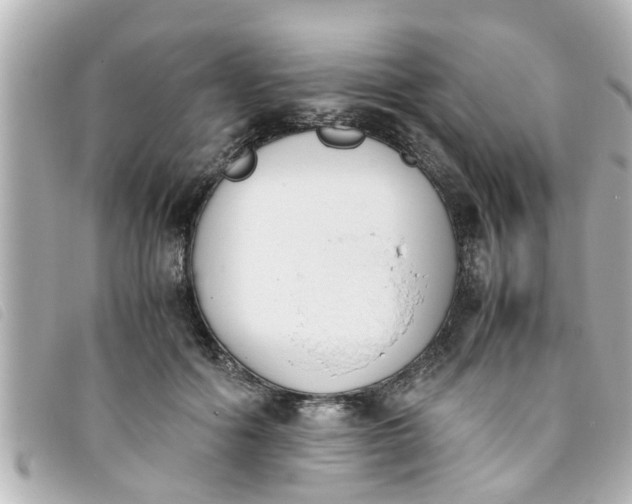 X0000093390602200710251243