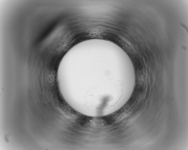 X0000093390603200710251243