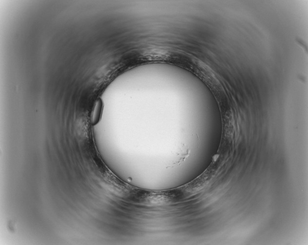 X0000093390604200710251243