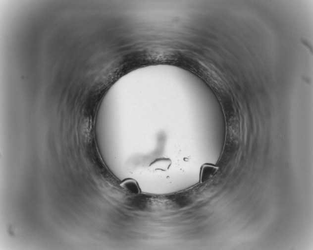 X0000093390605200710251243