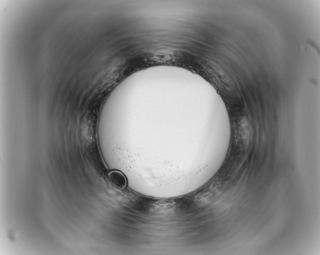 X0000093390606200710251243