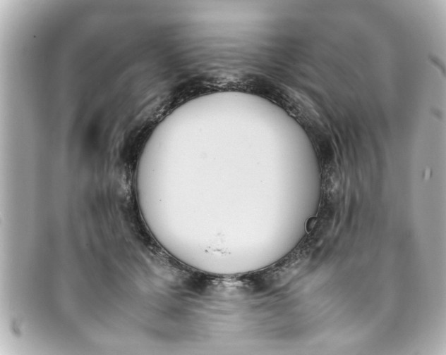 X0000093390607200710251243